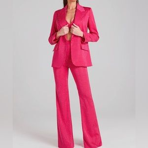 NWOT S/M Nadine Merabi blazer and pant set